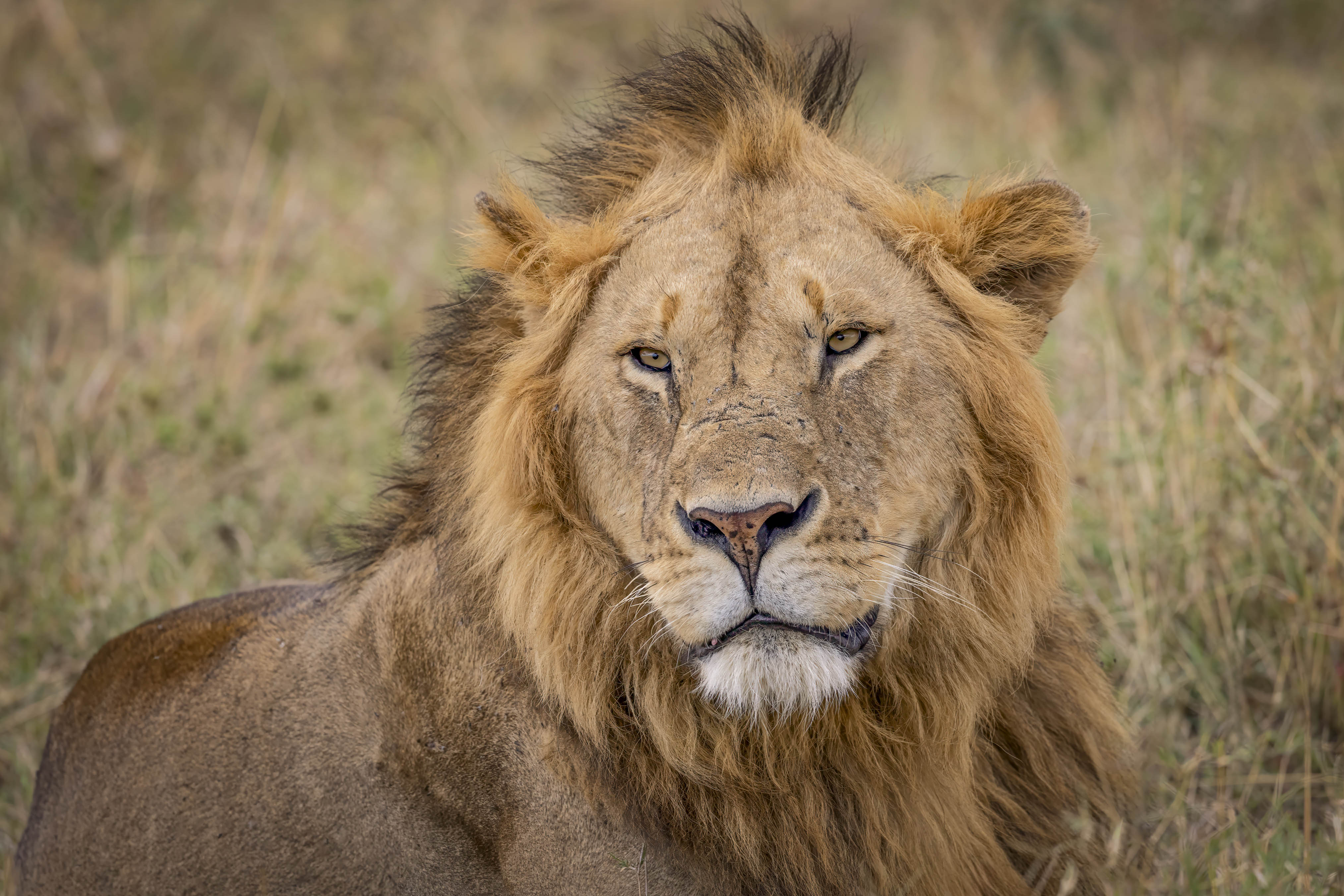 November 10, 2022-163740-Edit.jpg